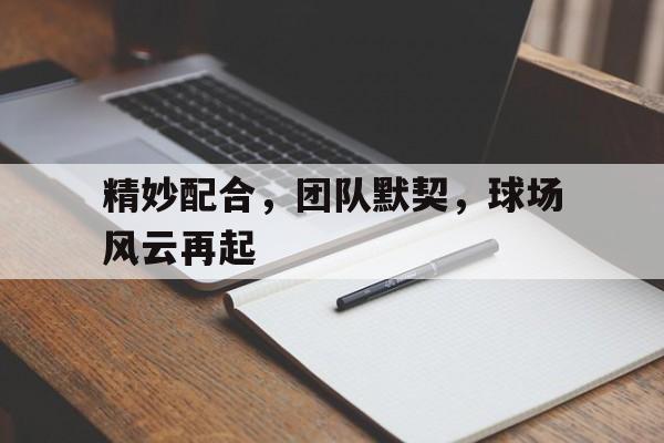 包含精妙配合，团队默契，球场风云再起的词条
