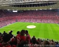 关于阿拉维斯主场失利，保级形势严峻的信息